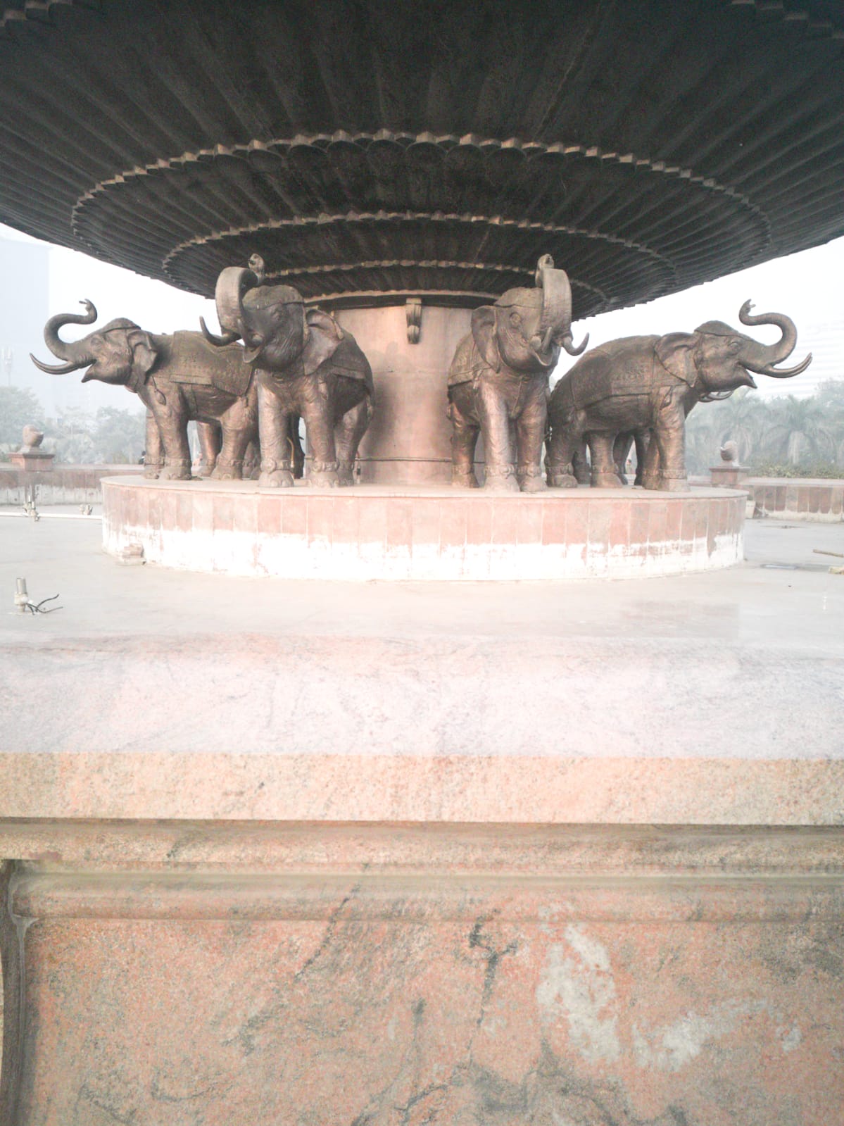 Elephant